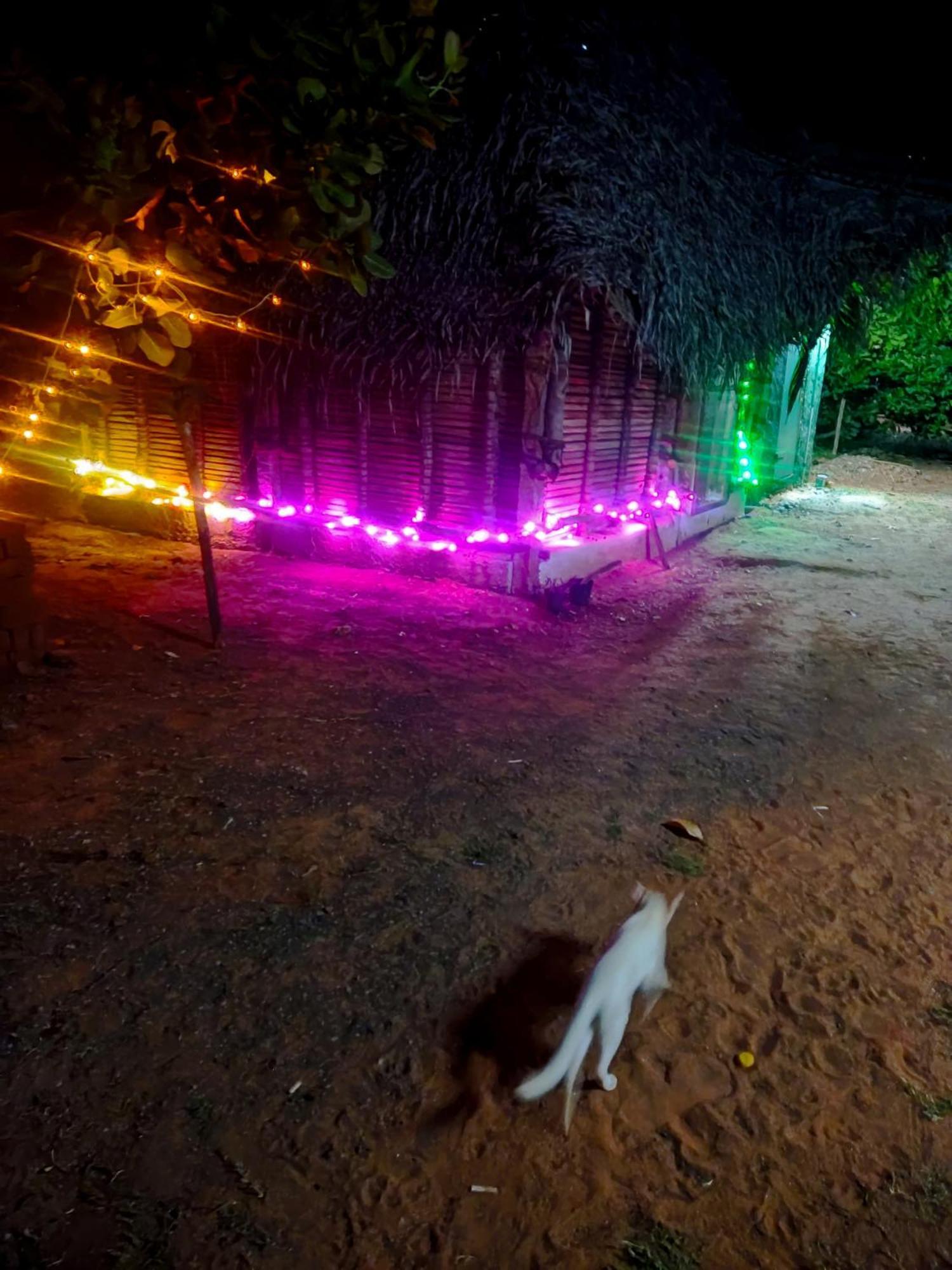 Boomerang Community オーロヴィル エクステリア 写真