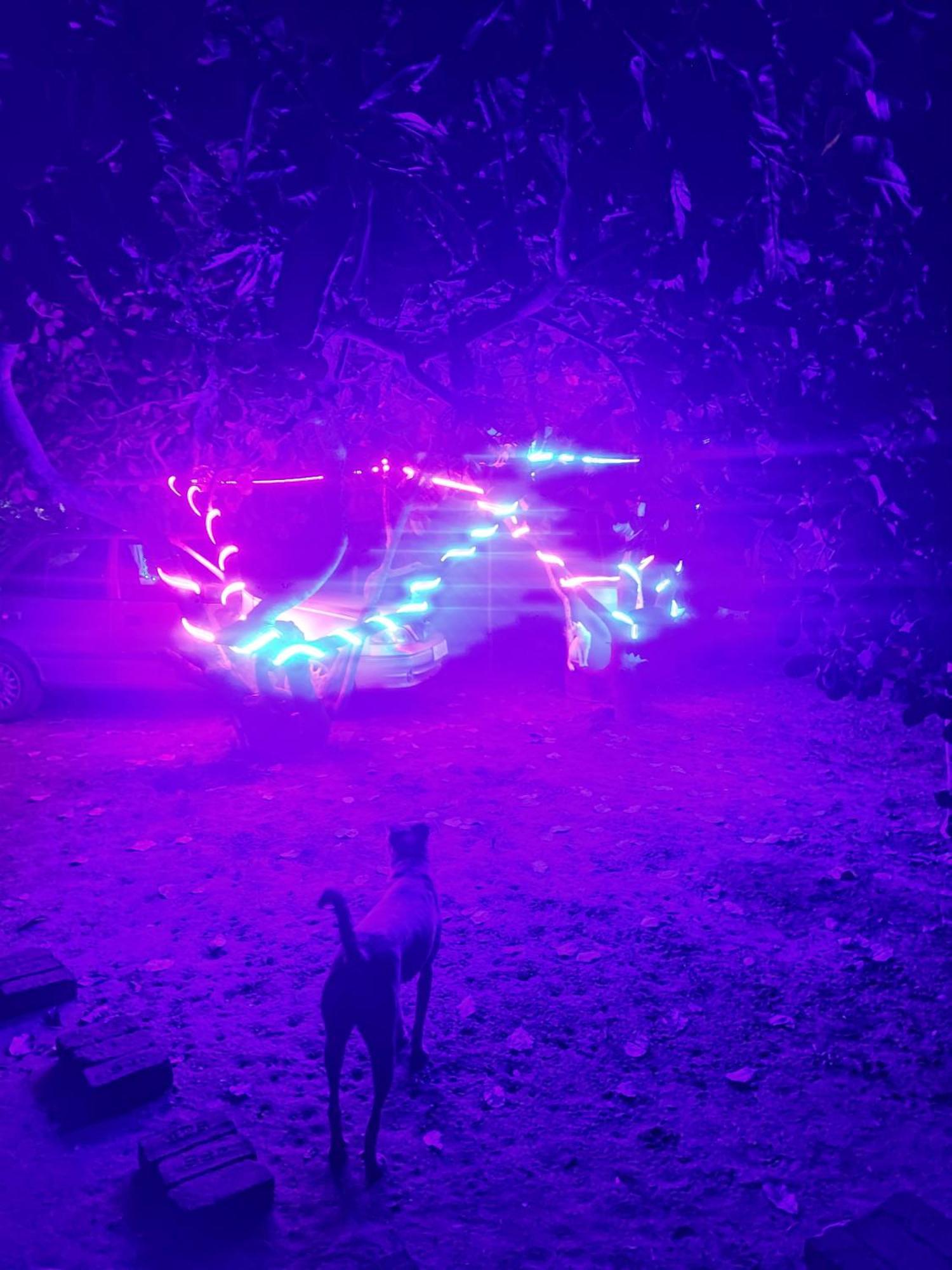 Boomerang Community オーロヴィル エクステリア 写真